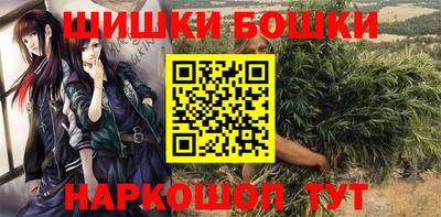 гидропоника Шахты
