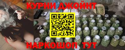 сатива Шебекино