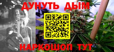 сатива Шебекино