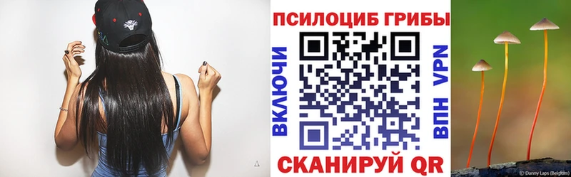 как найти закладки  маркетплейс клад  Псилоцибиновые грибы ЛСД  Пятигорск 